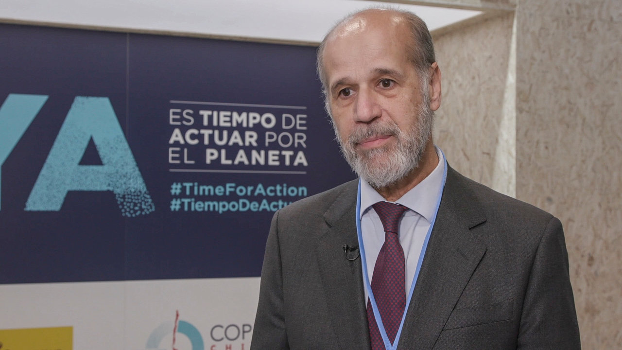 José Domínguez, Secretario de Estado de Energía