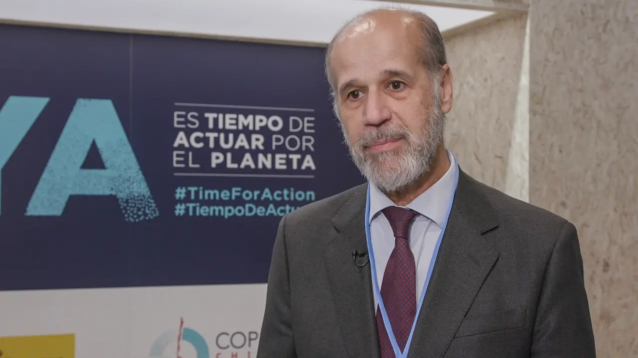 José Domínguez, Secretario de Estado de Energía