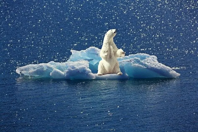 Protección climática 