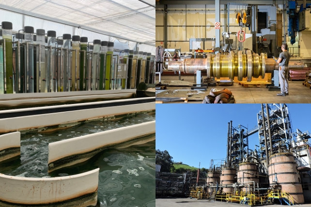 Instalaciones de Neoalgae, Itemat Mecanización y Química del Nalón, algunas de las empresas que han optado al Plan REINDUS