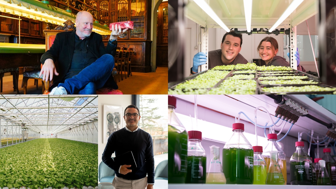 Patxi Larumbe, presidente de Cocuus; Tesa Portillo y Javier Espina, cofundadores de Cantábrica; Invernadero de Gonvarri Agrotech; Luis Alejandro Vergara, cofundador de Carbon Harvesters y Microalgas de Neoalgae