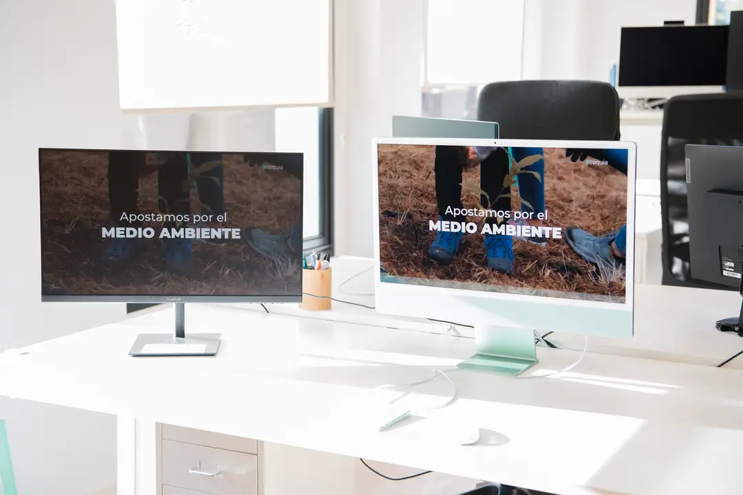 bosquia-5-aniversario-3