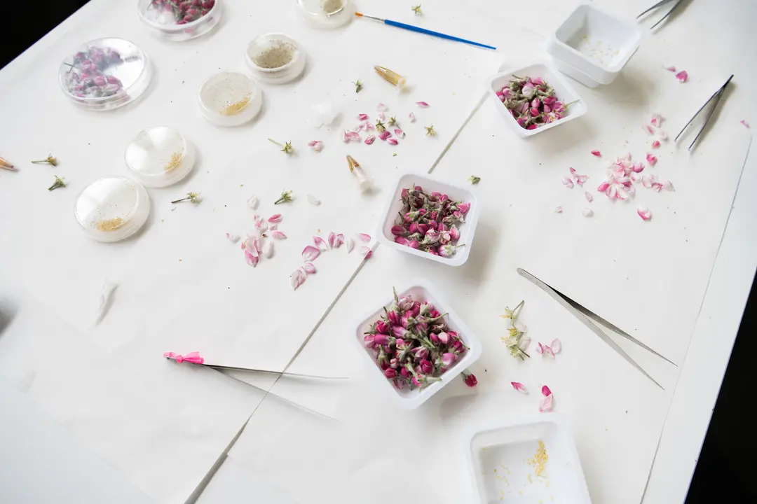 feria-ciencia-innovacion-asturias-2025-18