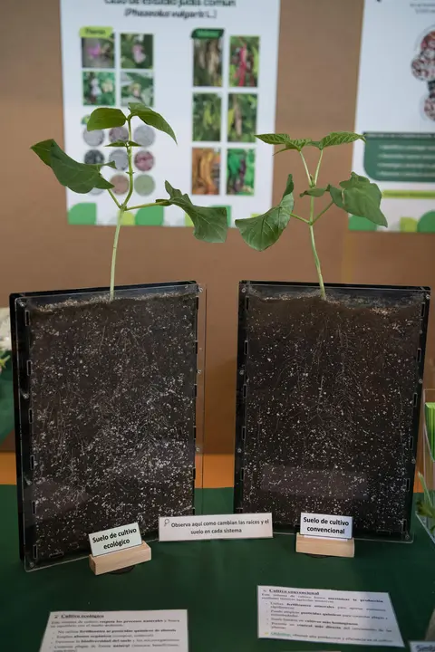 feria_ciencia_asturias_2026-34