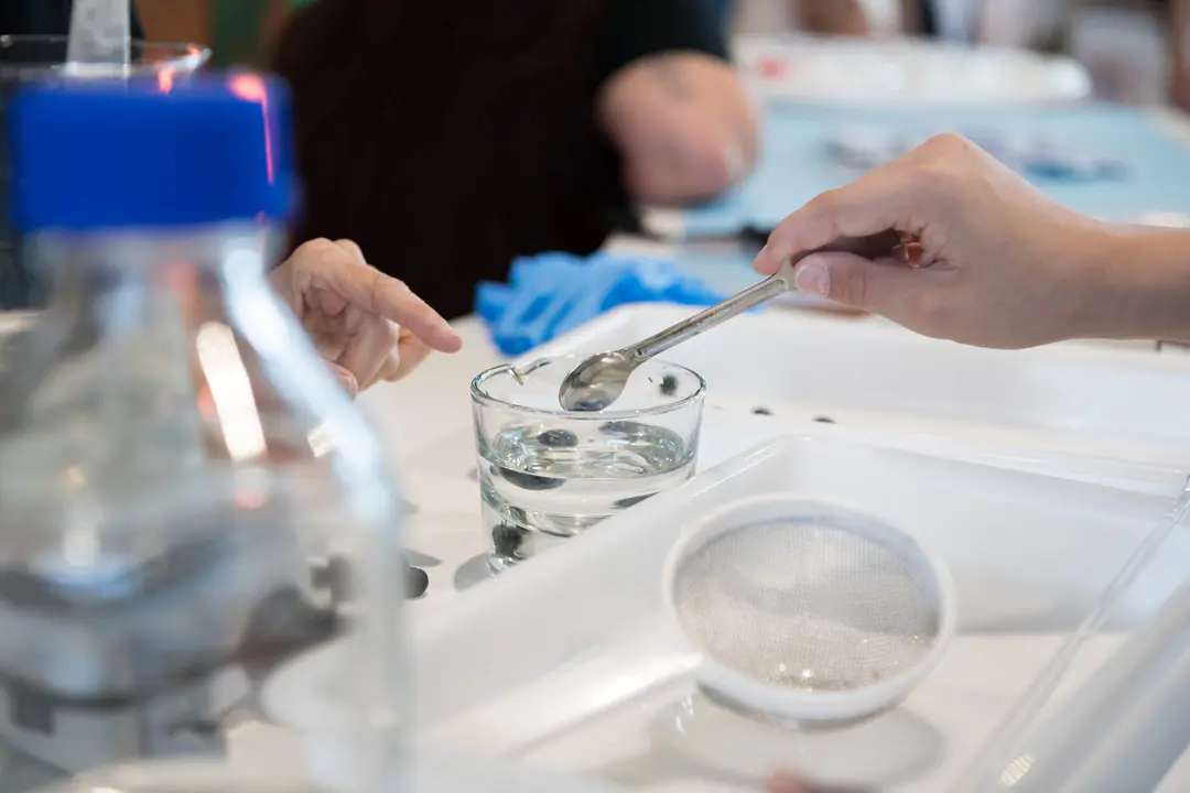 feria_ciencia_asturias_2026-36