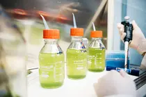 Neoalgae logra una patente clave en Estados Unidos para su tecnolog&iacute;a basada en microalgas.