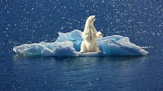 Protección climática