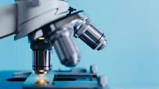 Autor: Kkolosov en Pixabay