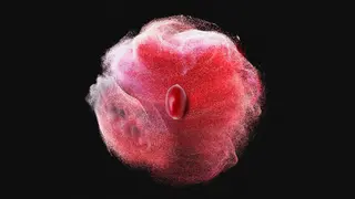 Capsa Vida inicia el segundo tiempo de un partido cuyo triunfo es la simbiosis salud-alimentación