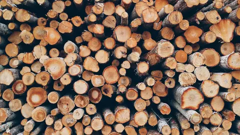 Feria del Campo y de las Industrias Agrícolas, Ganaderas, Forestales y Pesqueras 