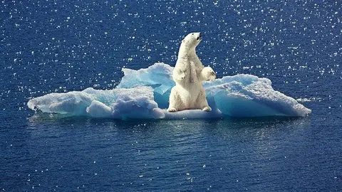 Protección climática