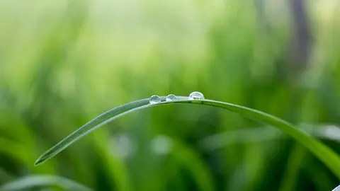 Photo by Philipp Lublasser on Unsplash