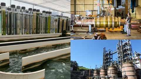 Instalaciones de Neoalgae, Itemat Mecanización y Química del Nalón, algunas de las empresas que han optado al Plan REINDUS