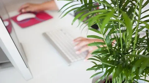 Autor: Maitematas en Pixabay