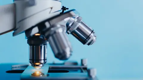 Autor: Kkolosov en Pixabay