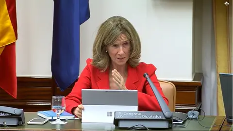 Cristina Garmendia, Presidenta de la Fundación Cotec en la Comisión para la Reconstrucción Social y Económica | Fuente: Fundación Cotec.