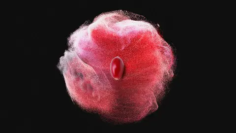 Capsa Vida inicia el segundo tiempo de un partido cuyo triunfo es la simbiosis salud-alimentación