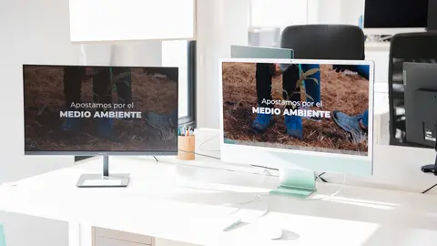 bosquia-5-aniversario-3