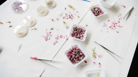 feria-ciencia-innovacion-asturias-2025-18