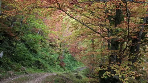Medio Rural publica las bases de las ayudas europeas Leader, dotadas con 15 millones para fomentar el empleo y fijar población