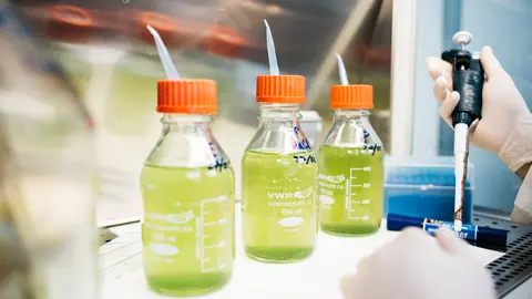 Neoalgae logra una patente clave en Estados Unidos para su tecnolog&iacute;a basada en microalgas.