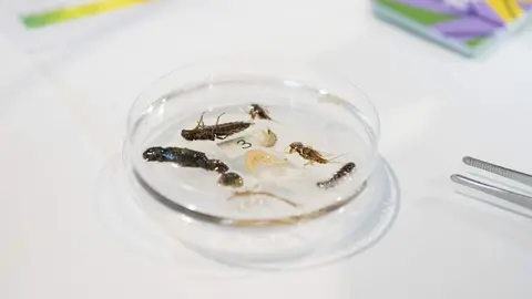 feria_ciencia_asturias_2026-62