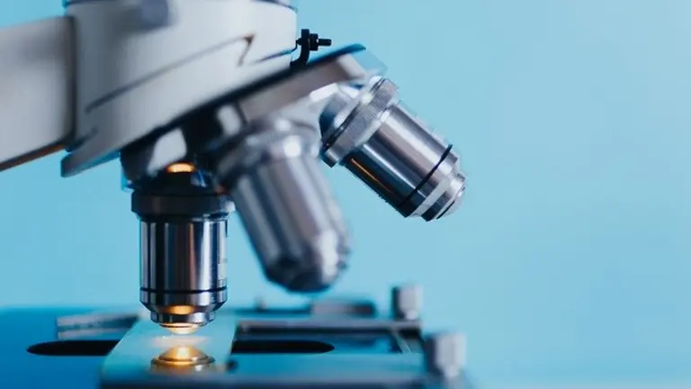 Autor: Kkolosov en Pixabay