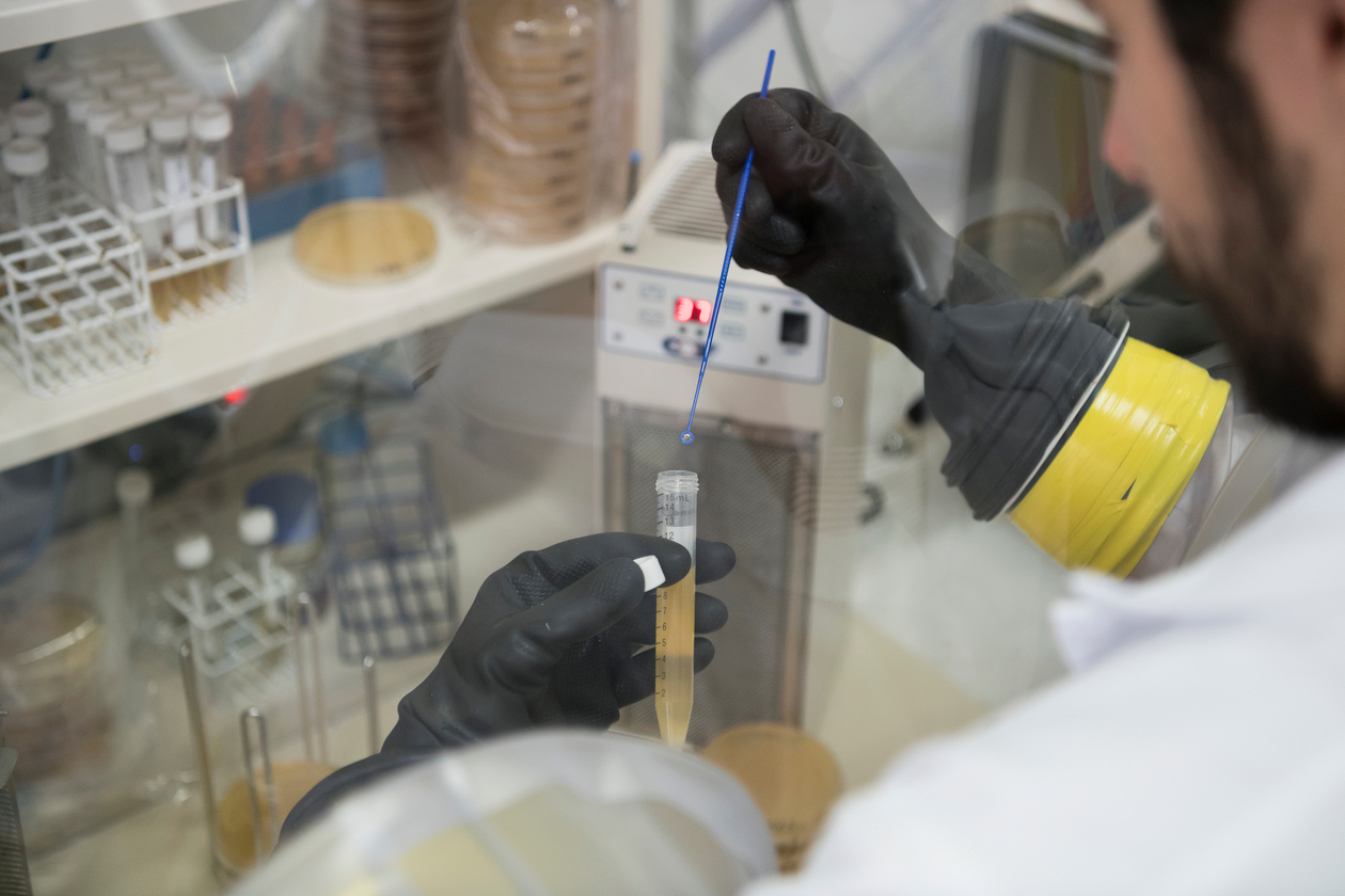 Pruebas realizadas en el laboratorio de Microviable | Marta Martín.
