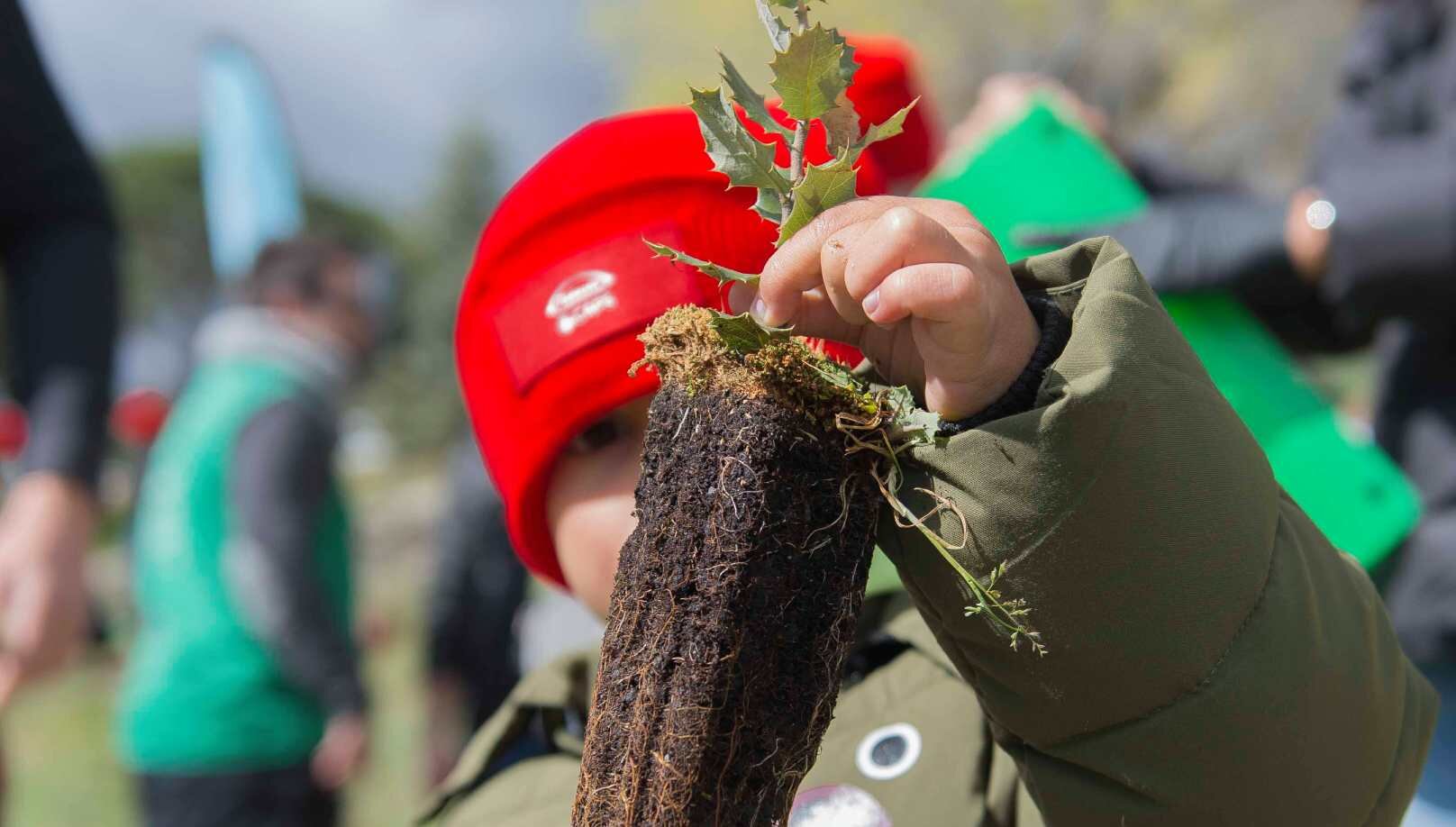 Pack2Earth, fundada en Barcelona en 2022, desarrolla materiales biobasados y compostables a temperatura ambiente para sustituir plásticos en envases complejos